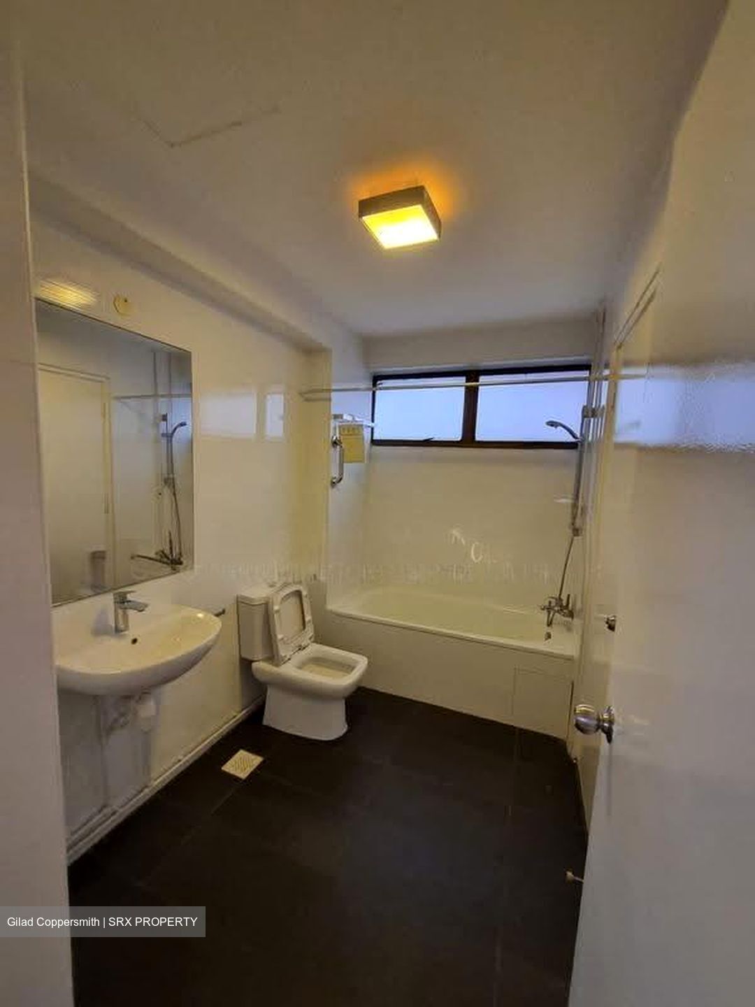 The Cairnhill (D9), Condominium #619024711